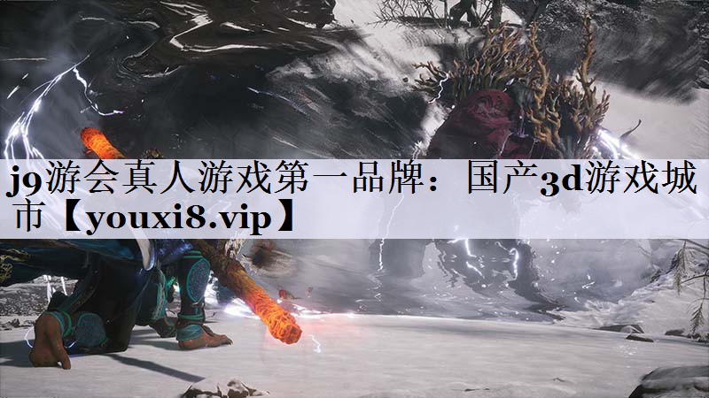 j9游会真人游戏第一品牌：国产3