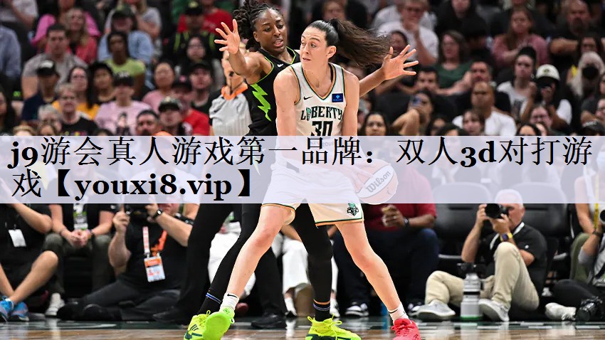 双人3d对打游戏