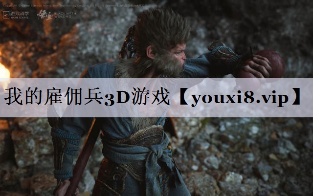 我的雇佣兵3D游戏