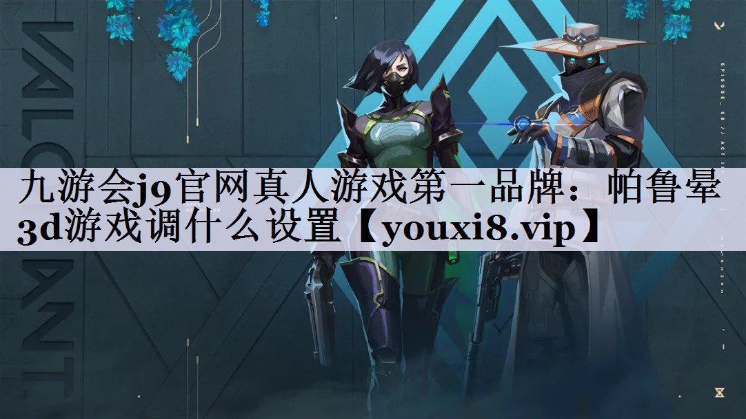 帕鲁晕3d游戏调什么设置